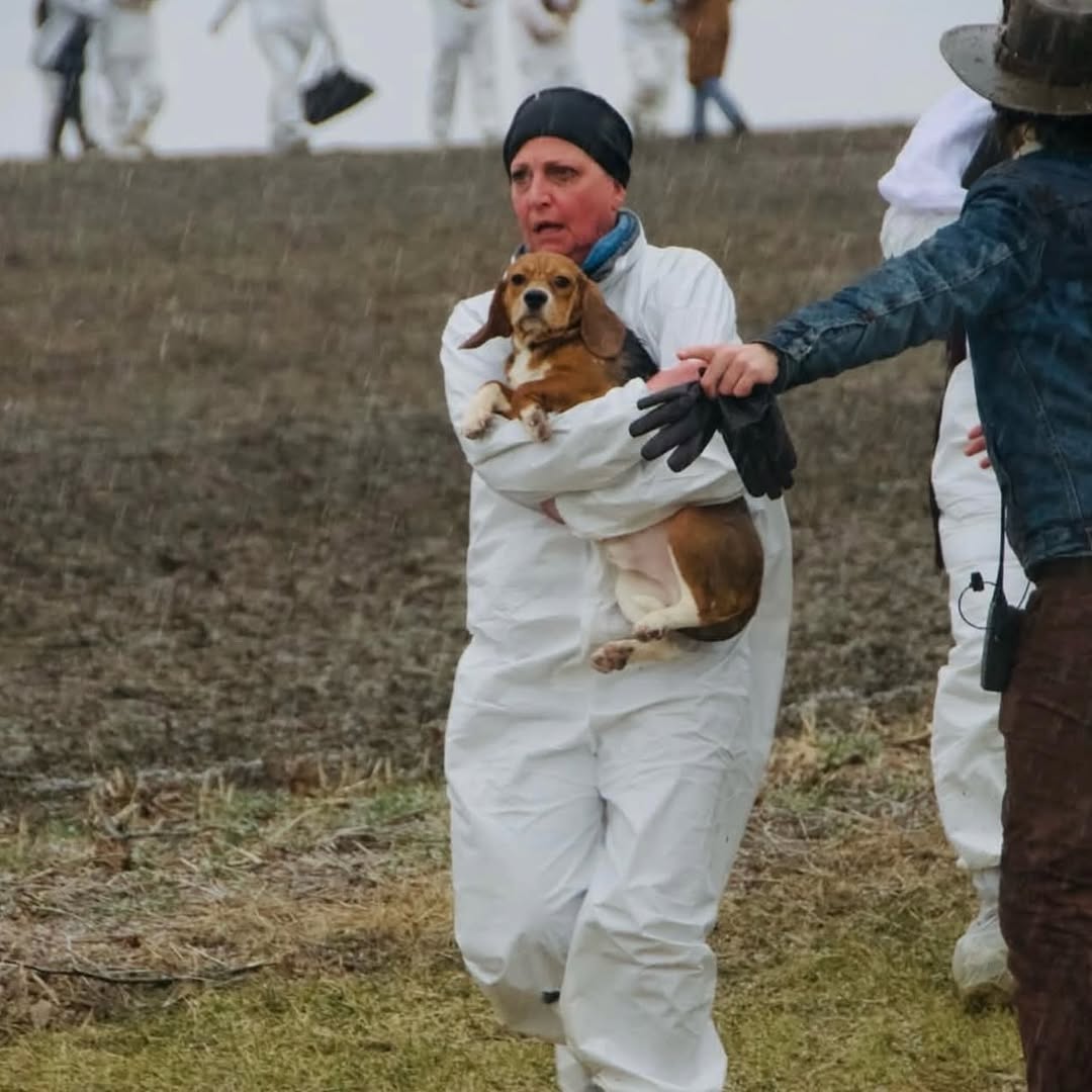 Instagram post about beagle rescue news.